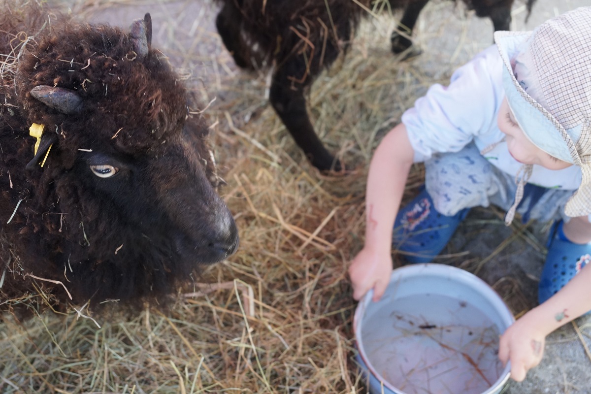 TierischeWoche2